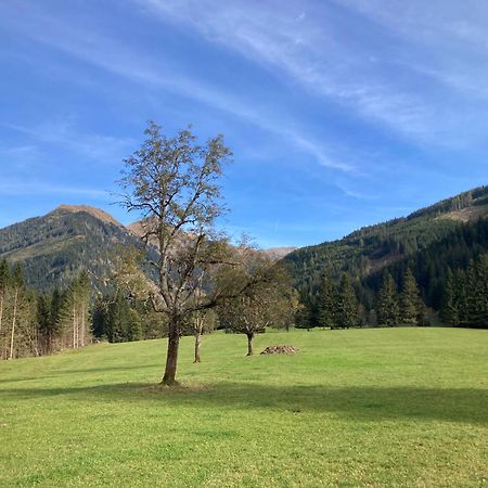 Appartements Zettler Donnersbachwald Exterior foto