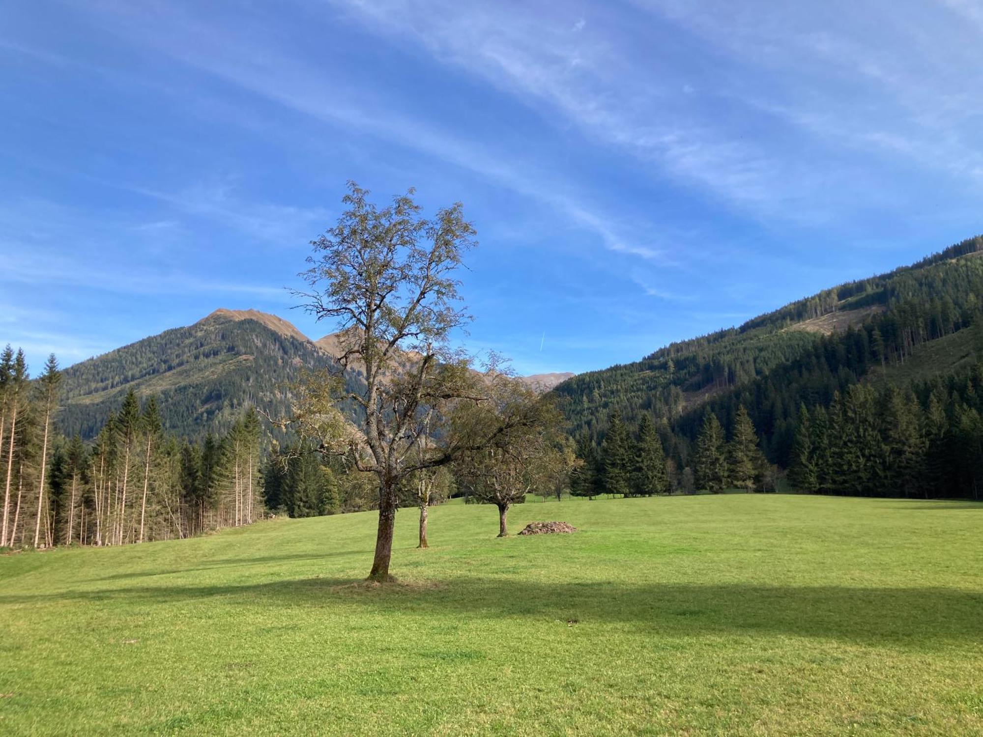 Appartements Zettler Donnersbachwald Exterior foto